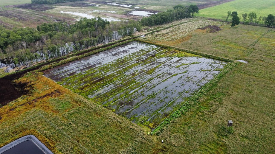 A square polder in a field, with a mixture of visible mosses and standing water. In the background there is land wit h standing water on it.